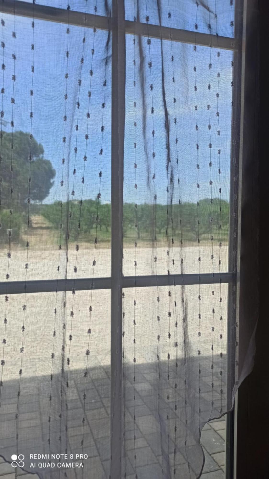 Agriturismo L' Annunziata ลิซซาโน ห้อง รูปภาพ