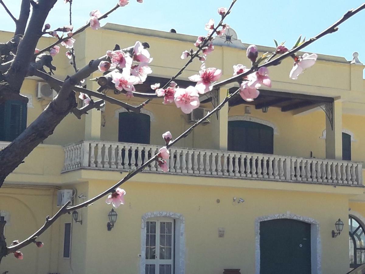 Agriturismo L' Annunziata ลิซซาโน ภายนอก รูปภาพ